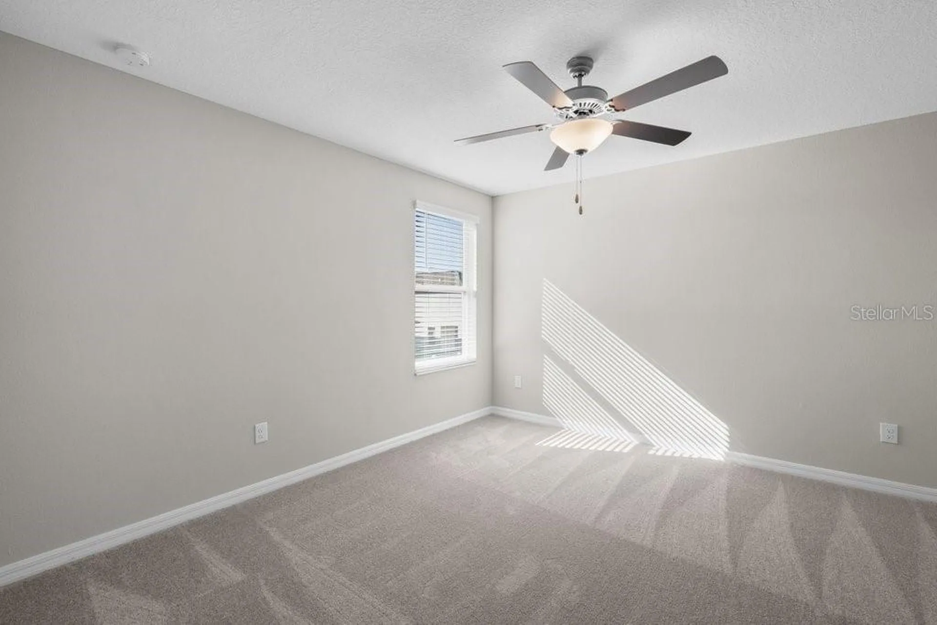 7227 Ronnie Gardens Court Tampa FL 33619