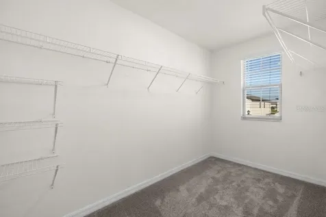 7227 Ronnie Gardens Court Tampa FL 33619