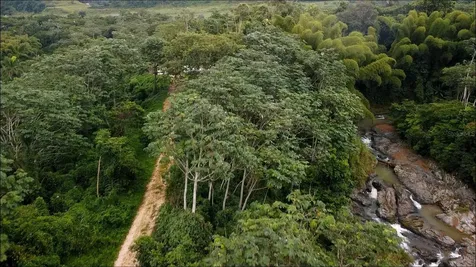 1 1 Bo Angeles, El Corcho Utuado PR 00641