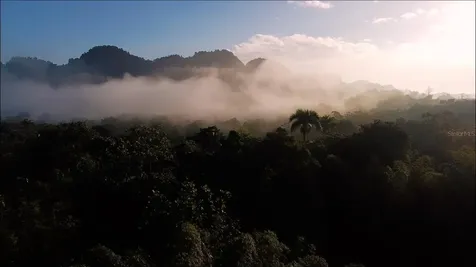 1 1 Bo Angeles, El Corcho Utuado PR 00641