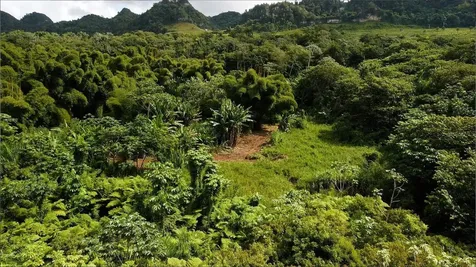 1 1 Bo Angeles, El Corcho Utuado PR 00641