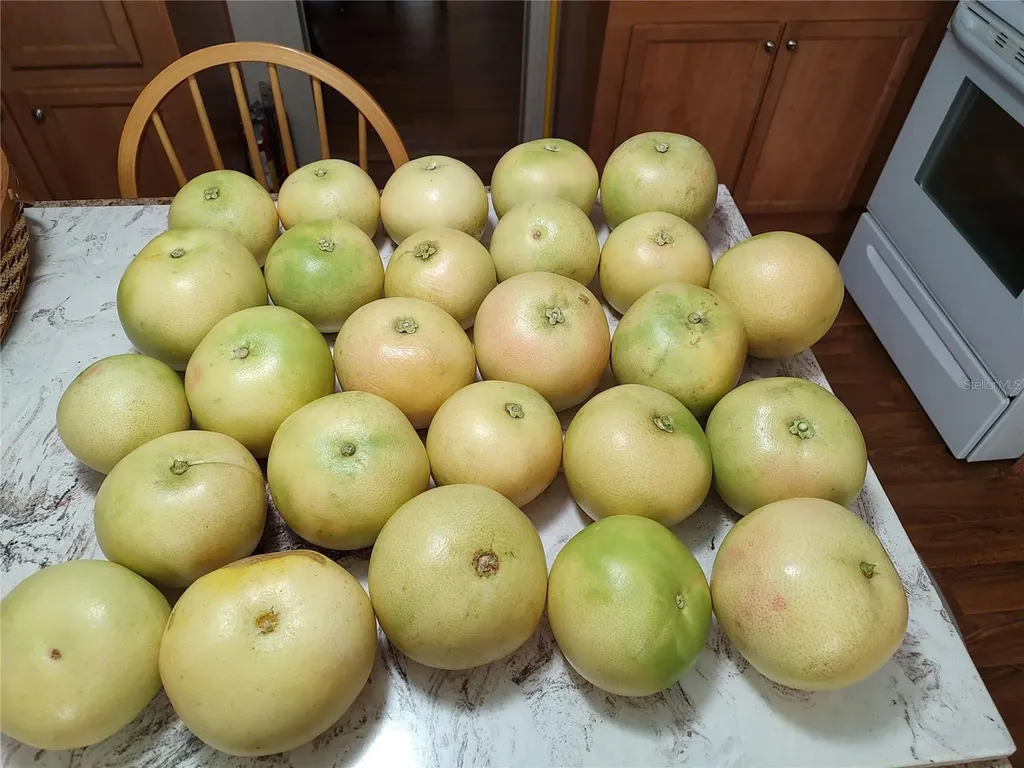 10342 Shady Drive Hudson FL 34669