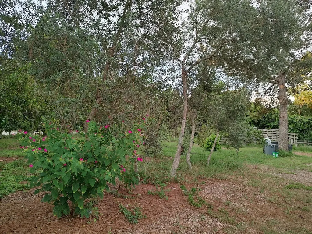 10342 Shady Drive Hudson FL 34669