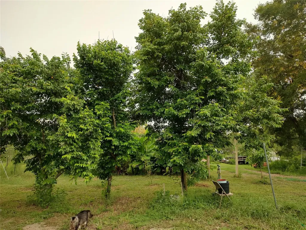 10342 Shady Drive Hudson FL 34669