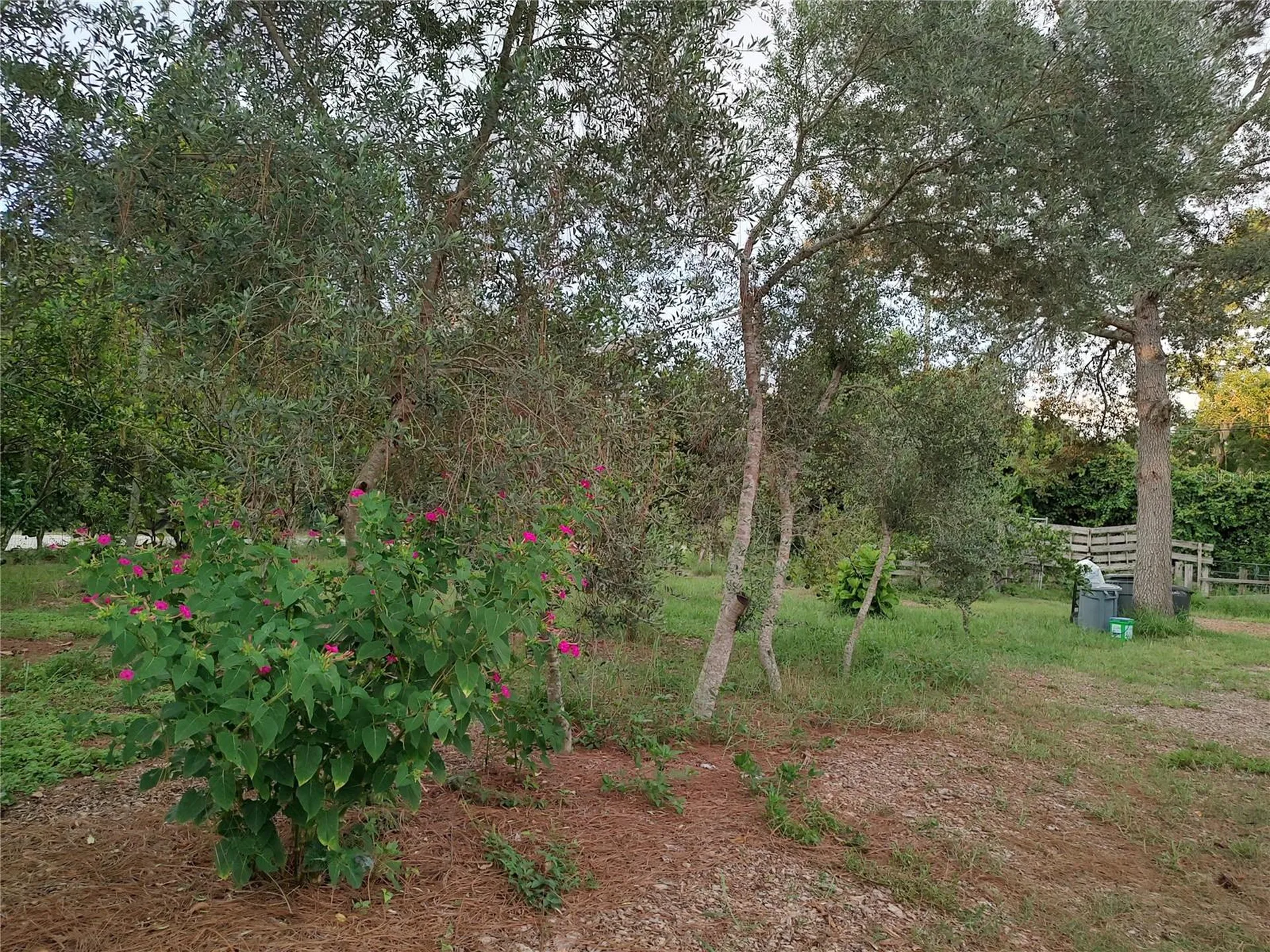 10342 Shady Drive Hudson FL 34669