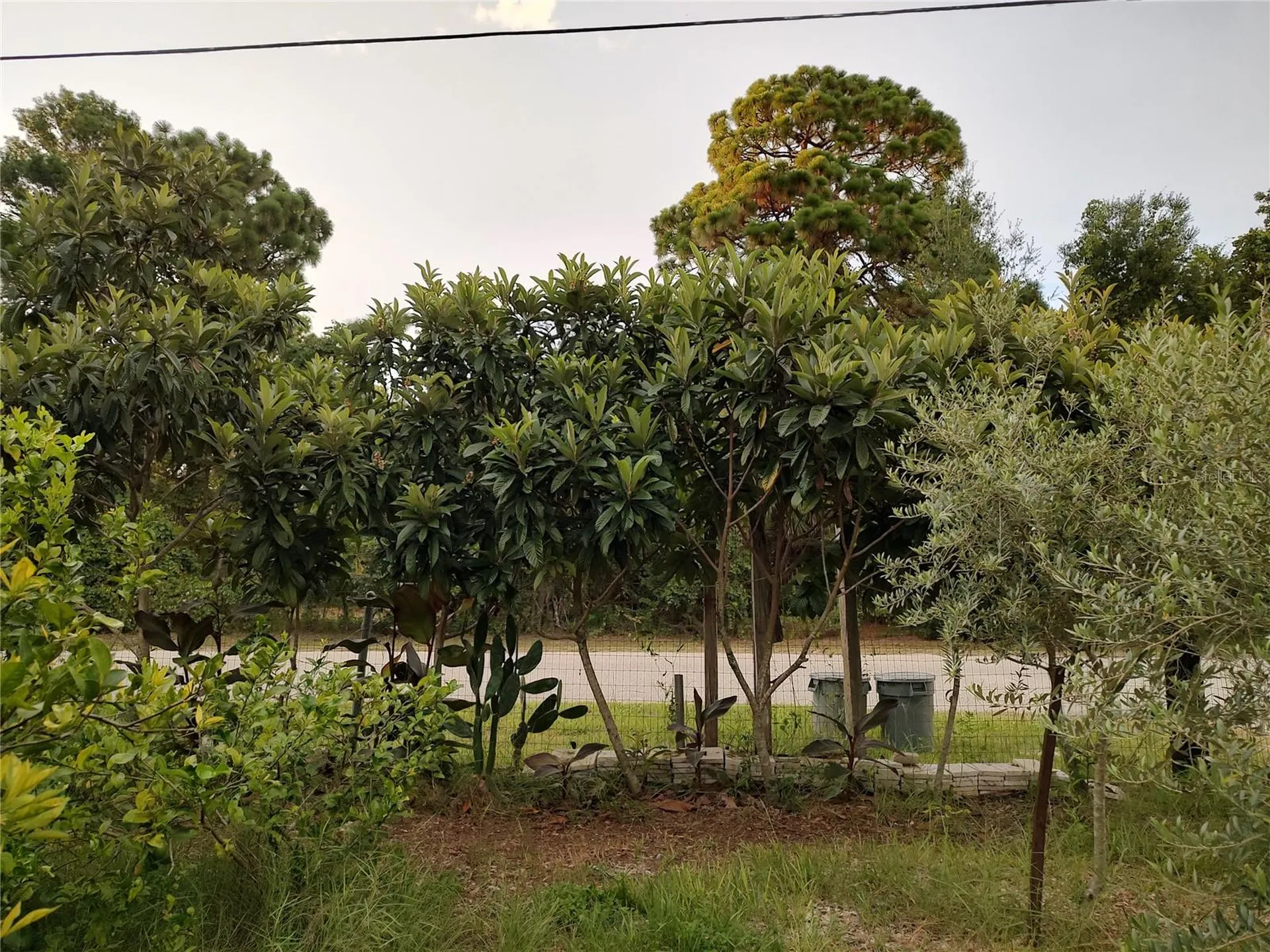 10342 Shady Drive Hudson FL 34669