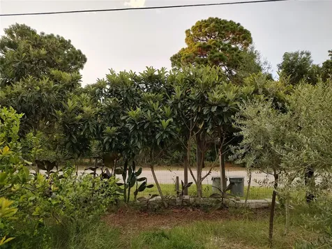 10342 Shady Drive Hudson FL 34669