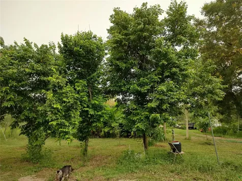 10342 Shady Drive Hudson FL 34669