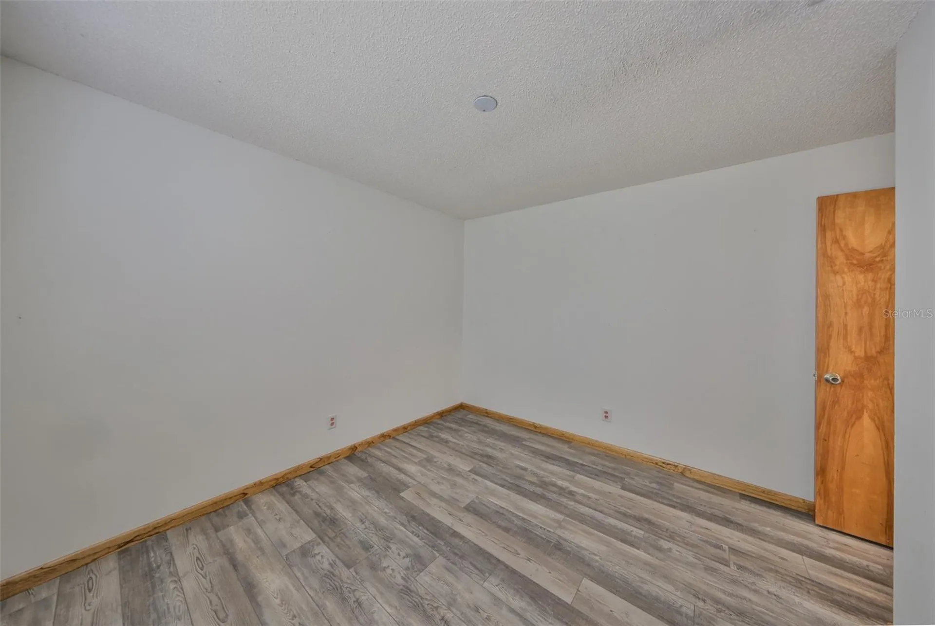 3818 Biscay Place Land O Lakes FL 34639
