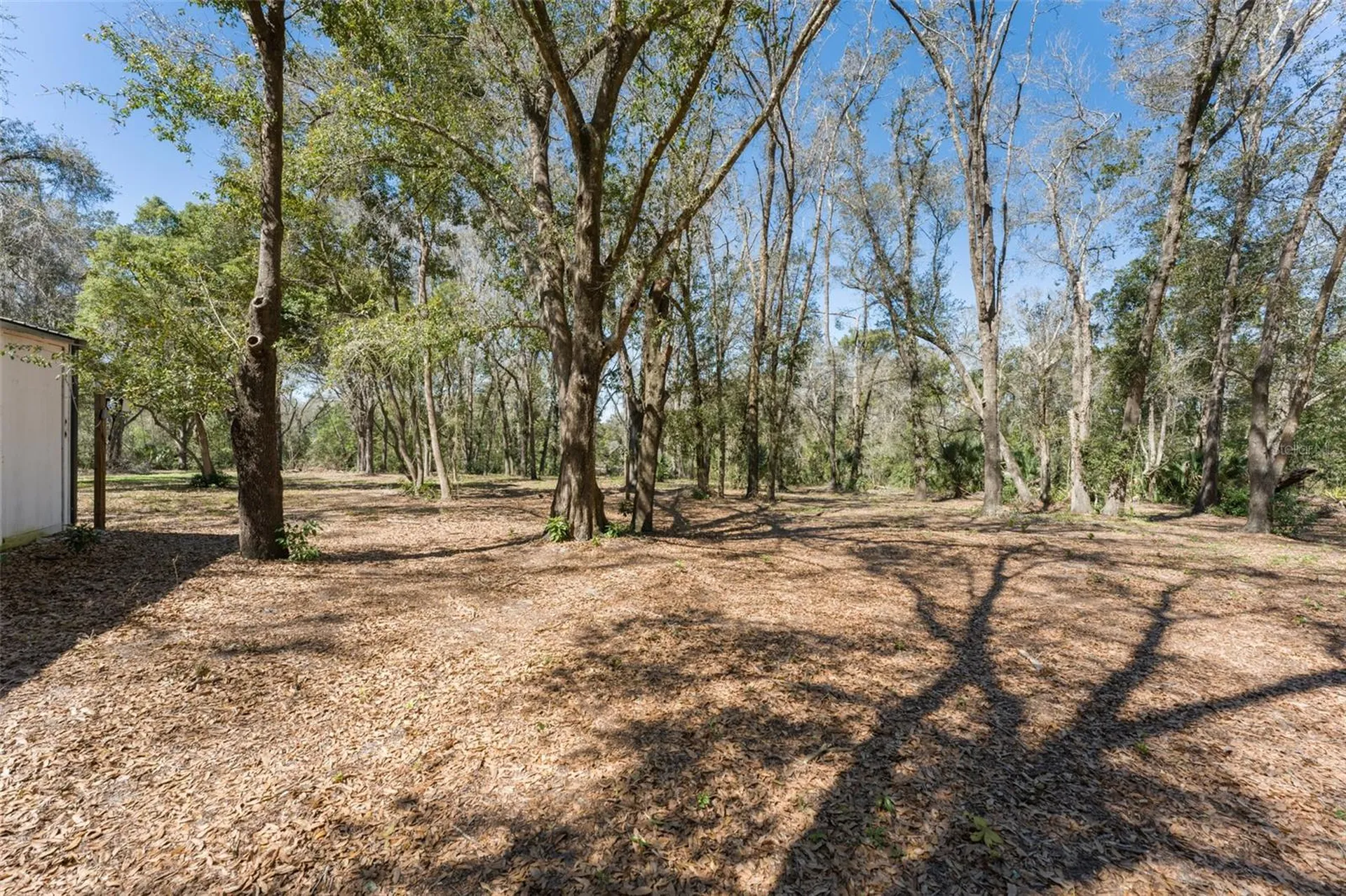 22126 Quale Grove Road Eustis FL 32736