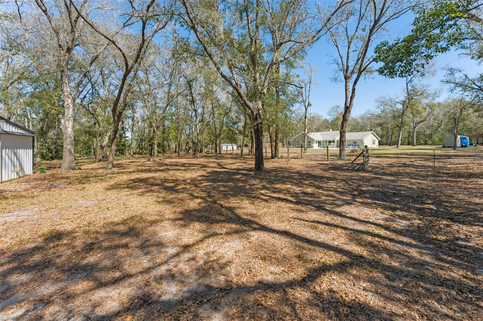22126 Quale Grove Road Eustis FL 32736