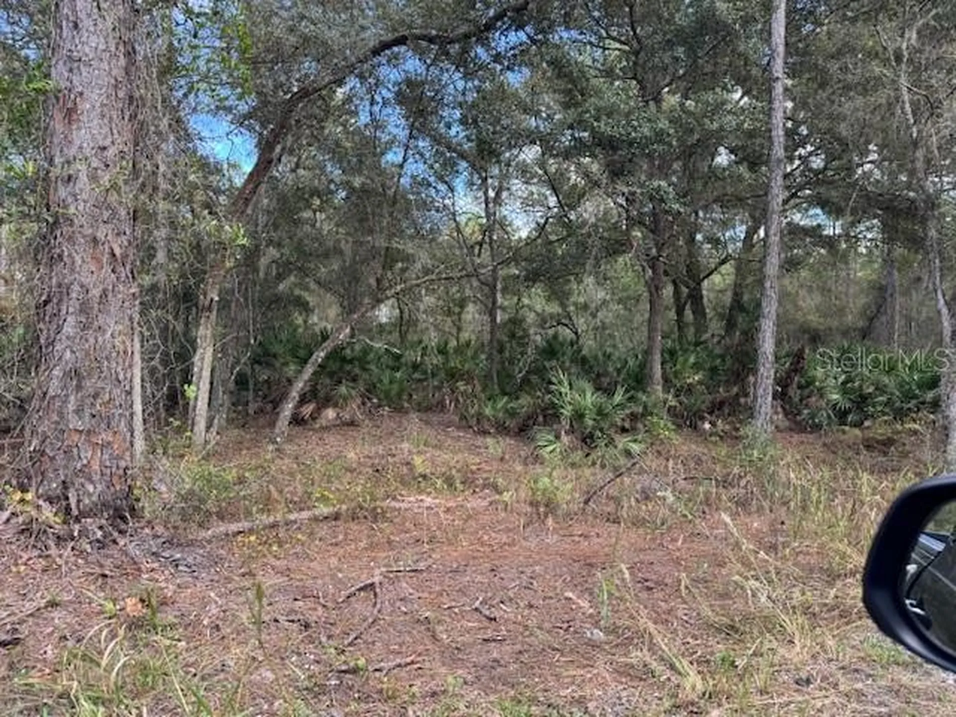 12TH Avenue Deland FL 32724