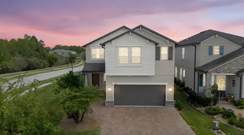 3999 Cadence Loop Land O Lakes FL 34638