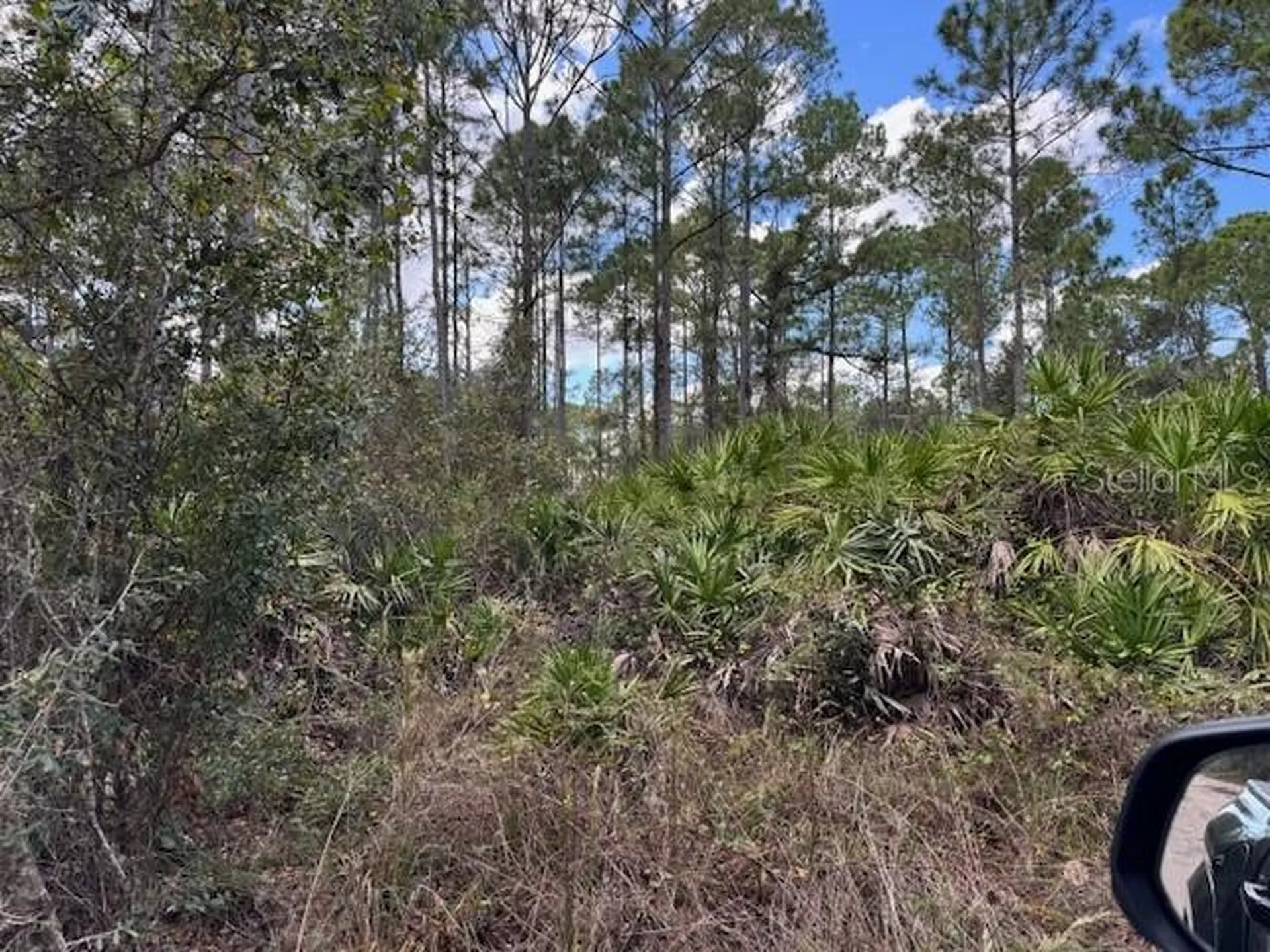 12TH Avenue Deland FL 32724