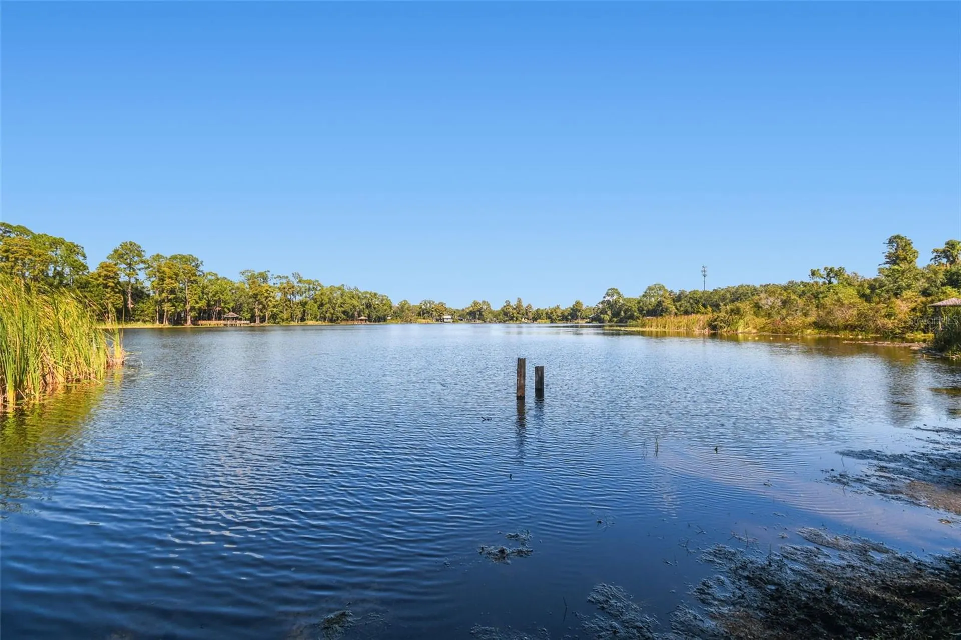 8011 N Mobley Road Odessa FL 33556