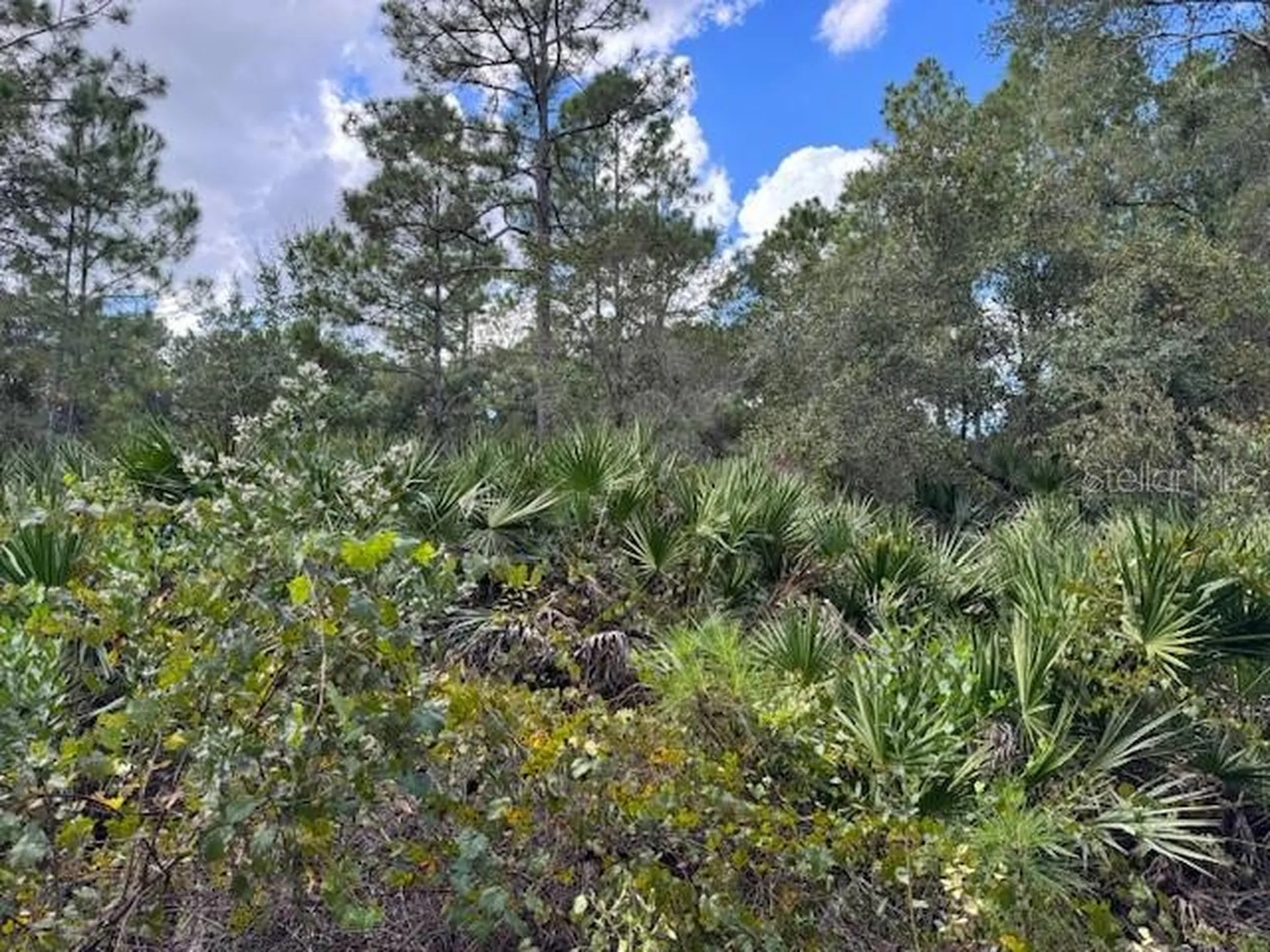12TH Avenue Deland FL 32724