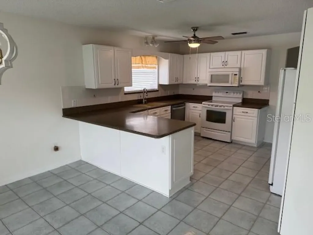 903 Ramos Drive The Villages FL 32159