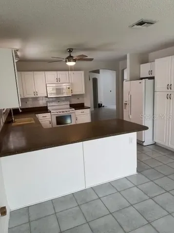 903 Ramos Drive The Villages FL 32159