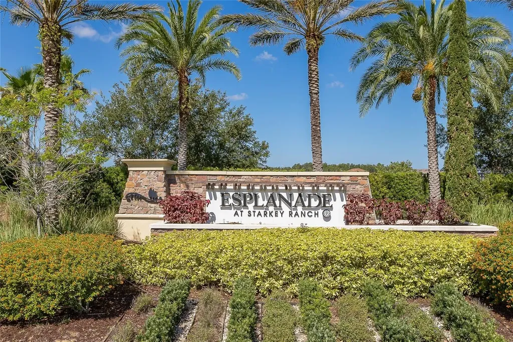 11599 Callisia Drive Odessa FL 33556