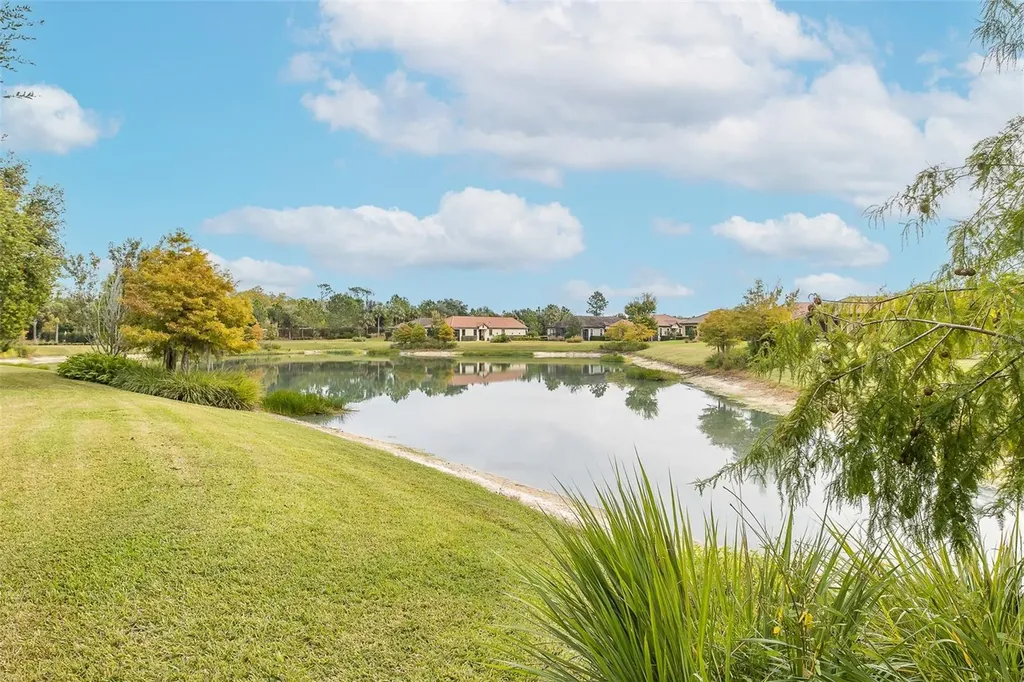 11599 Callisia Drive Odessa FL 33556
