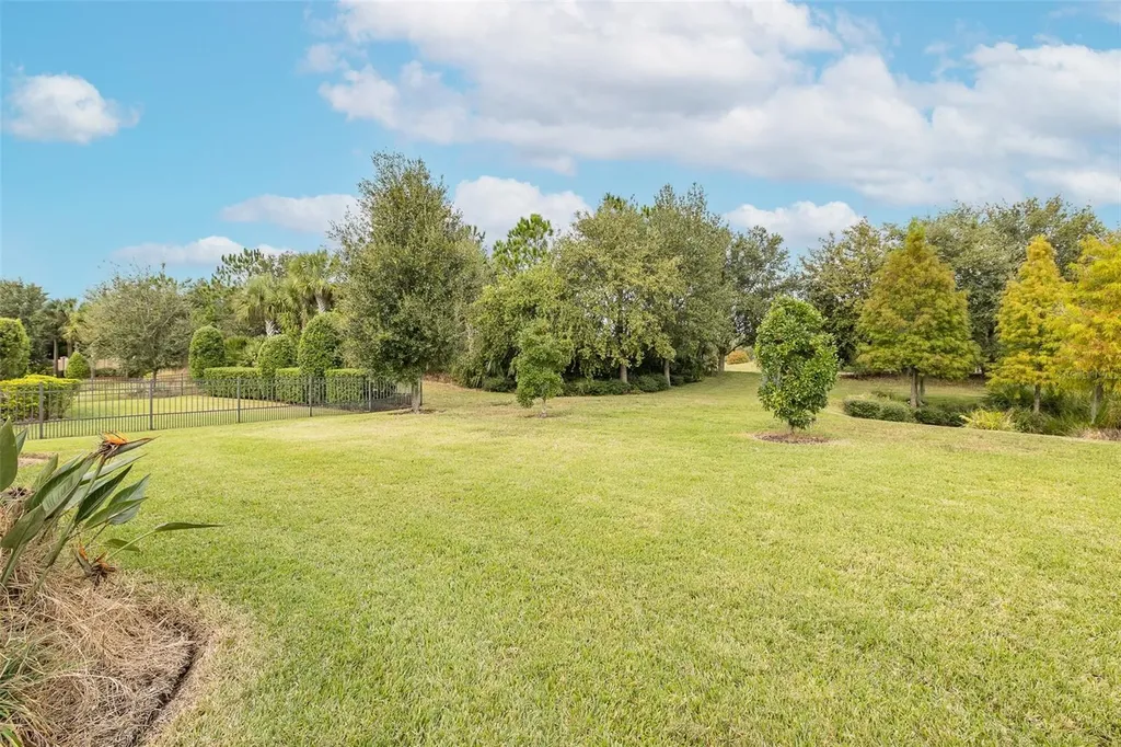 11599 Callisia Drive Odessa FL 33556