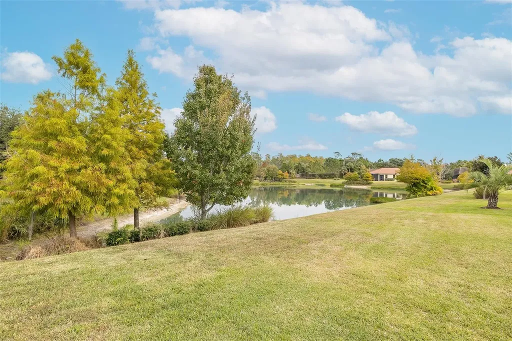 11599 Callisia Drive Odessa FL 33556