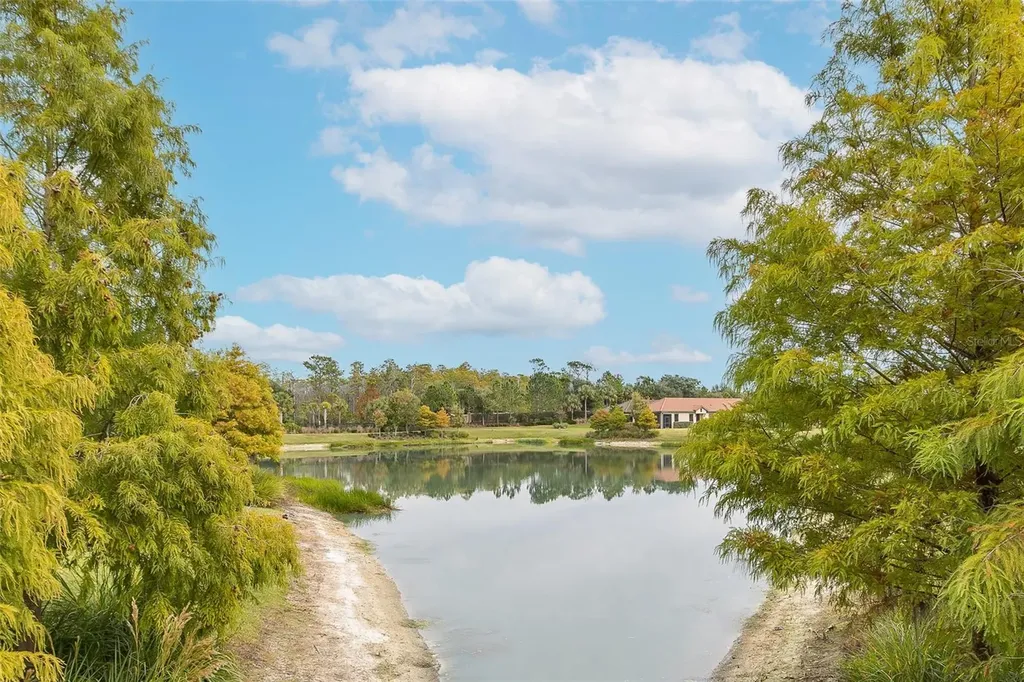 11599 Callisia Drive Odessa FL 33556
