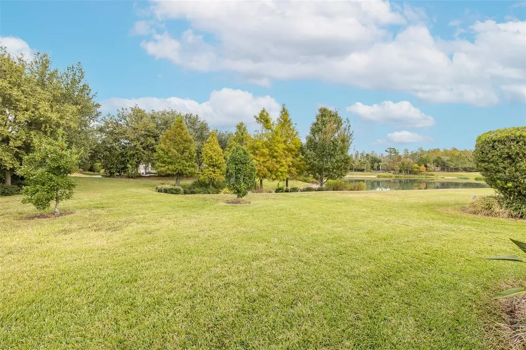11599 Callisia Drive Odessa FL 33556