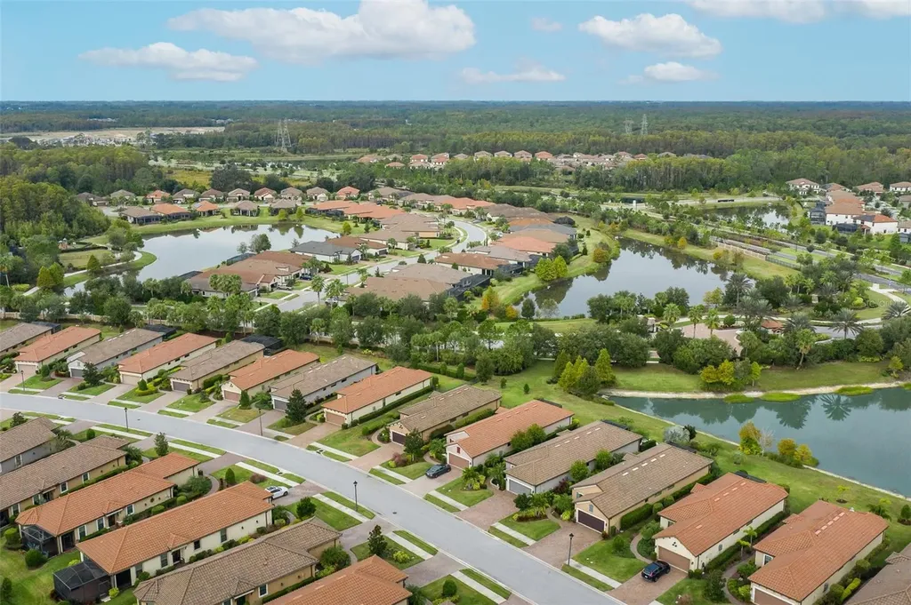11599 Callisia Drive Odessa FL 33556