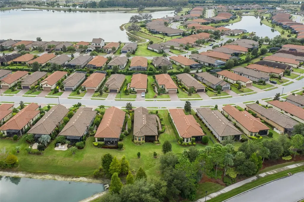 11599 Callisia Drive Odessa FL 33556