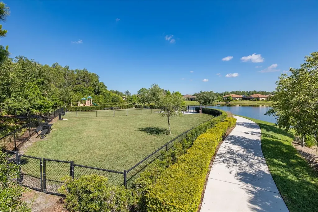 11599 Callisia Drive Odessa FL 33556