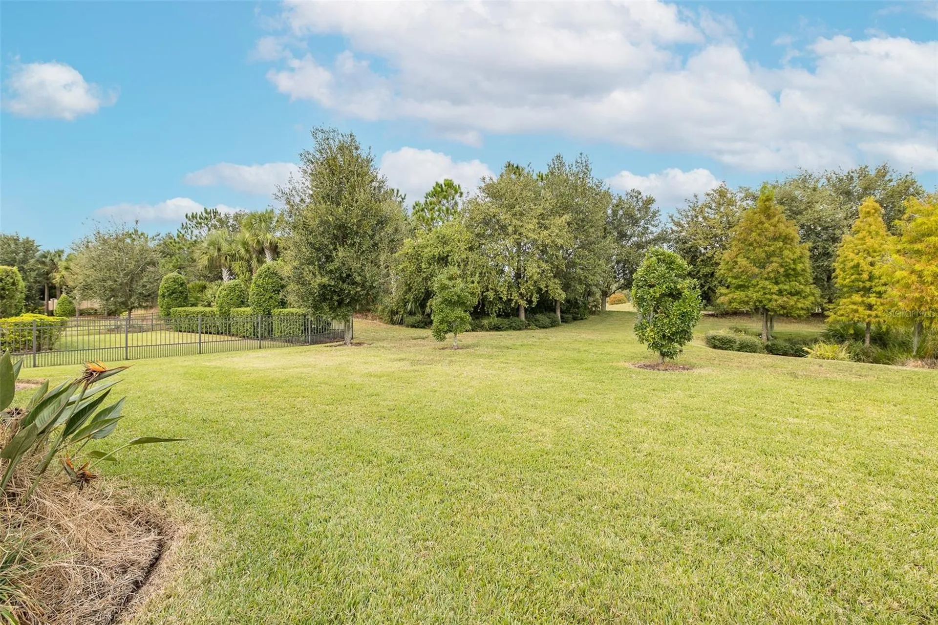 11599 Callisia Drive Odessa FL 33556