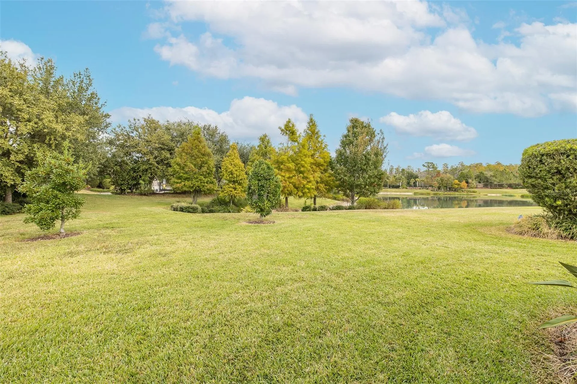 11599 Callisia Drive Odessa FL 33556