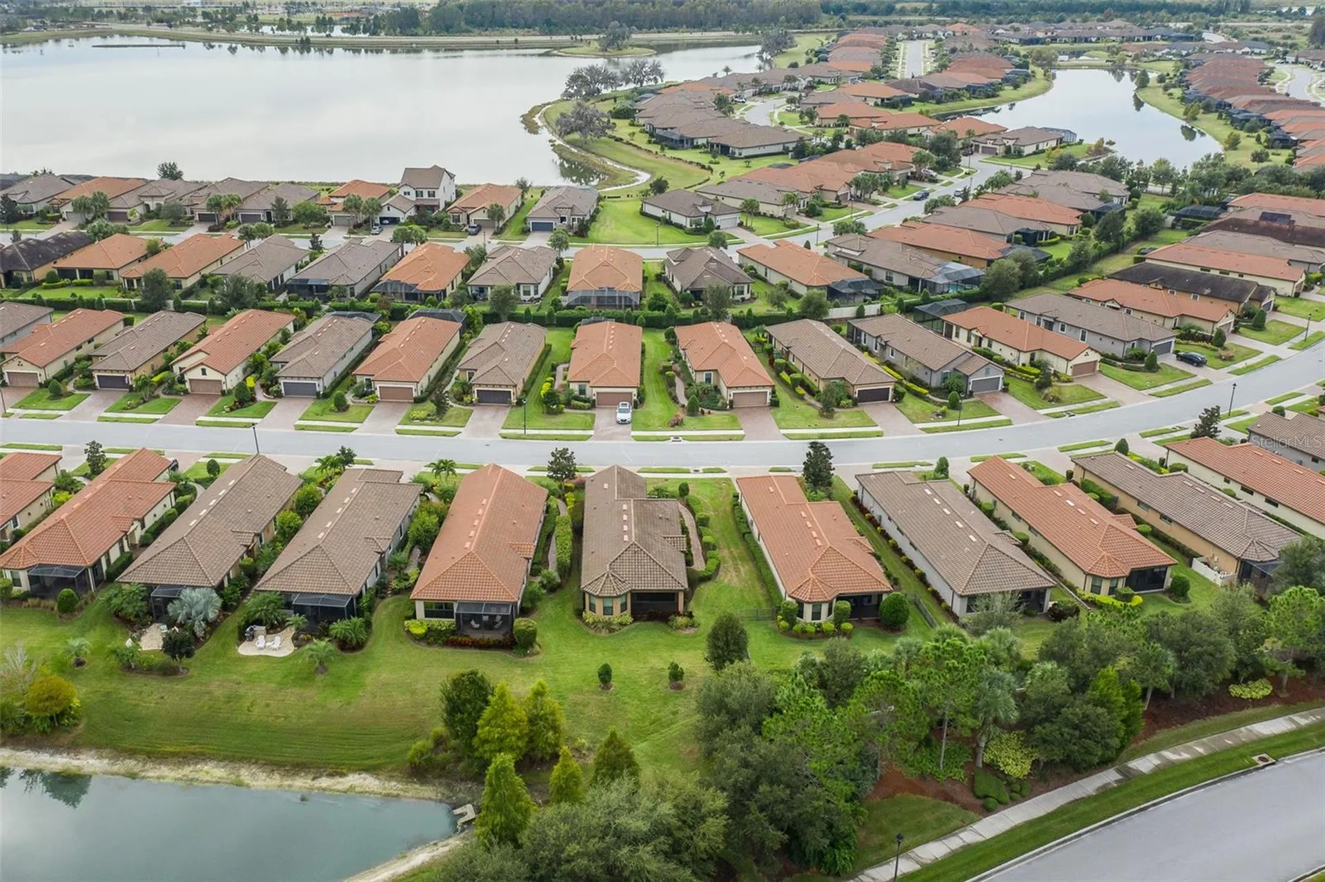 11599 Callisia Drive Odessa FL 33556