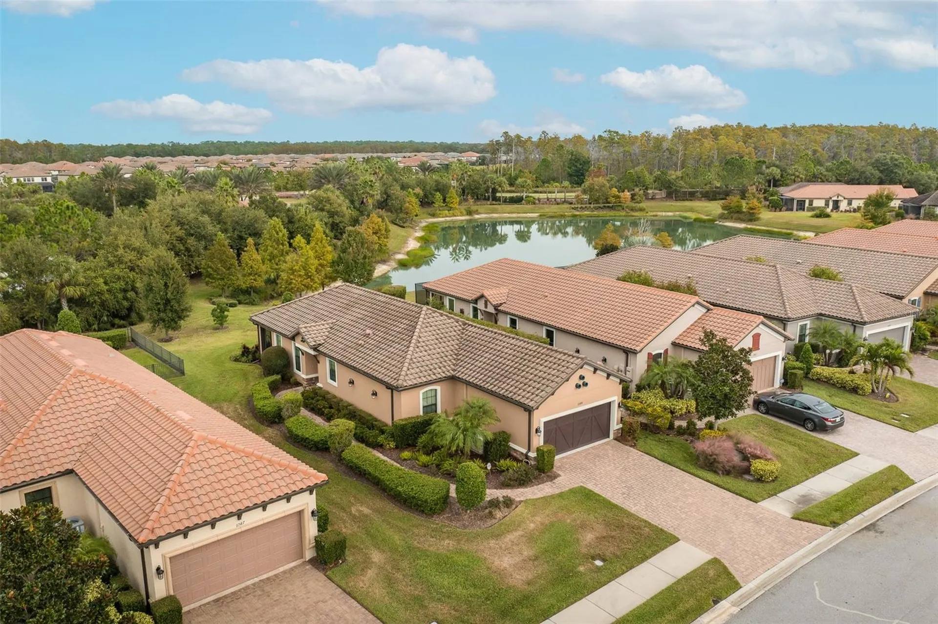 11599 Callisia Drive Odessa FL 33556