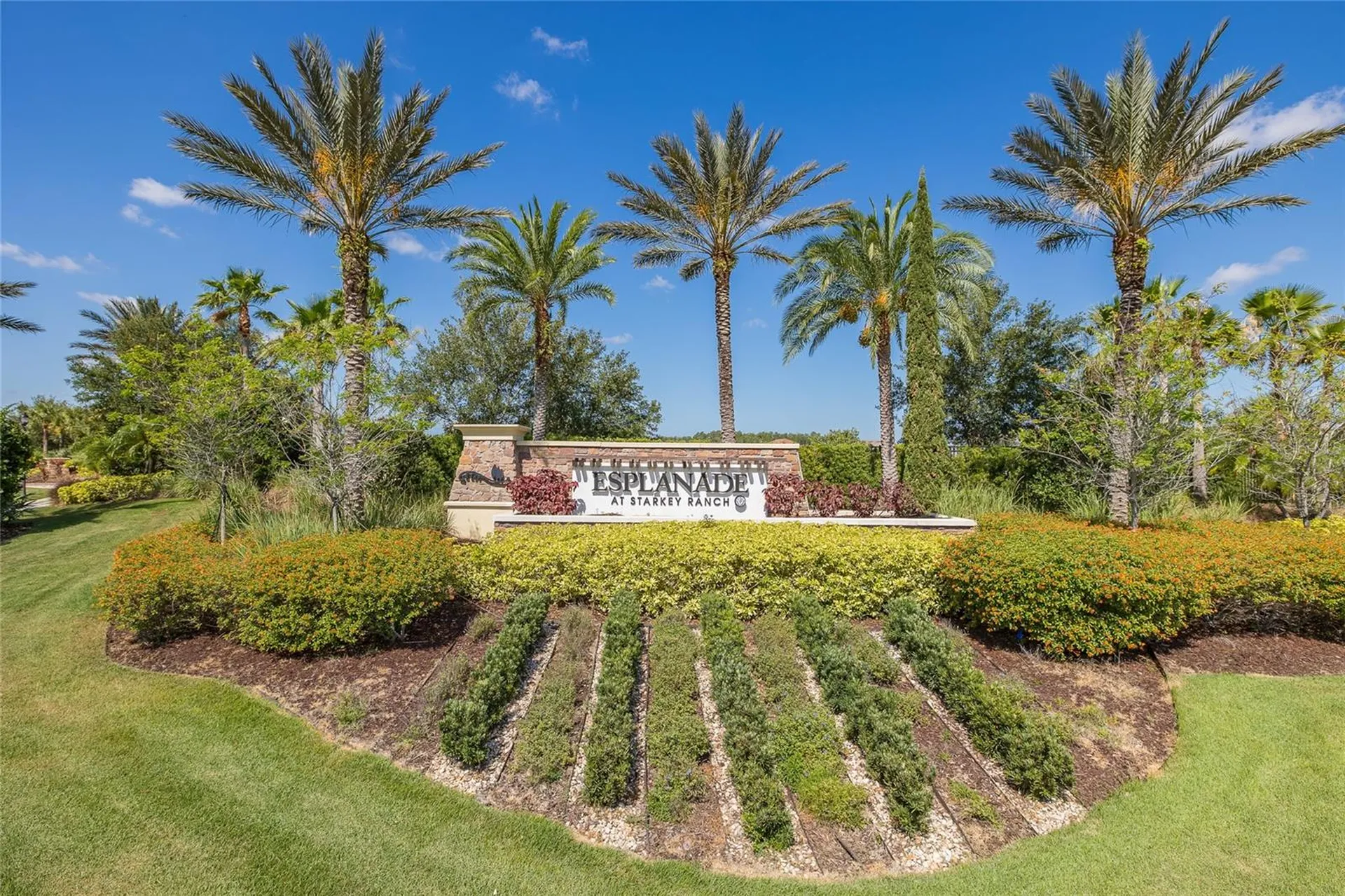 11599 Callisia Drive Odessa FL 33556