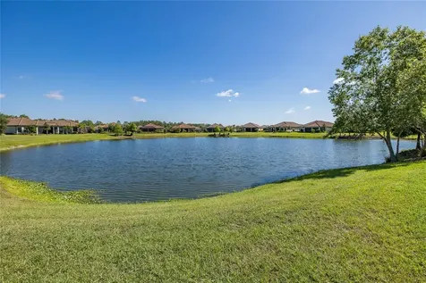 11599 Callisia Drive Odessa FL 33556
