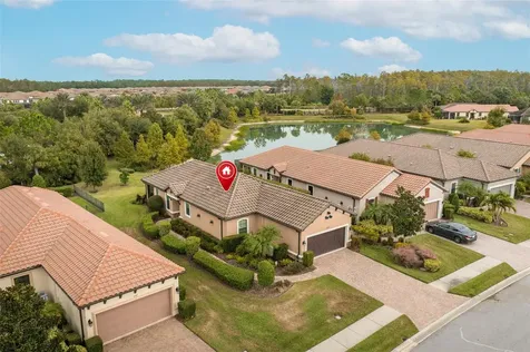 11599 Callisia Drive Odessa FL 33556