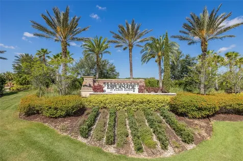 11599 Callisia Drive Odessa FL 33556