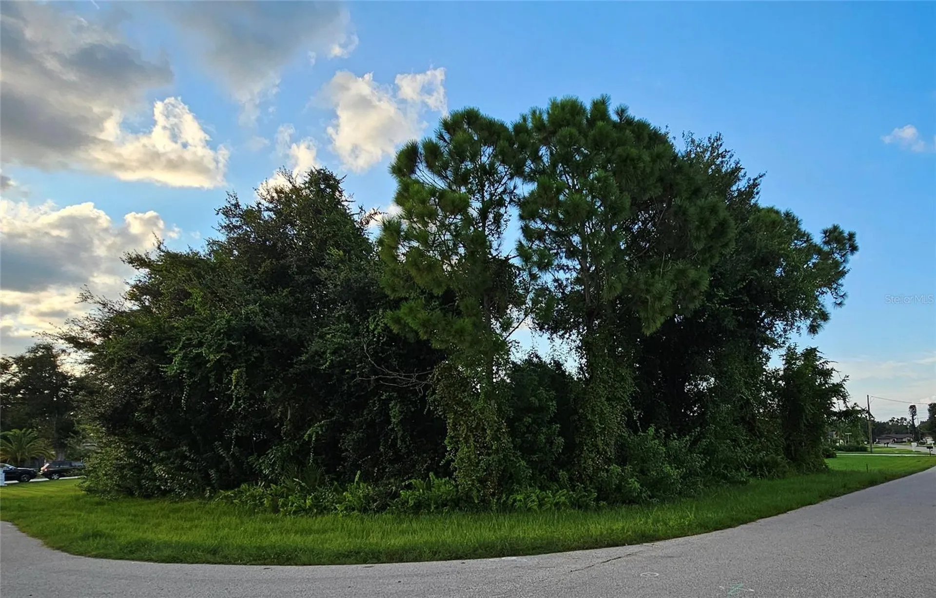 133 Valdiva Street Punta Gorda FL 33983
