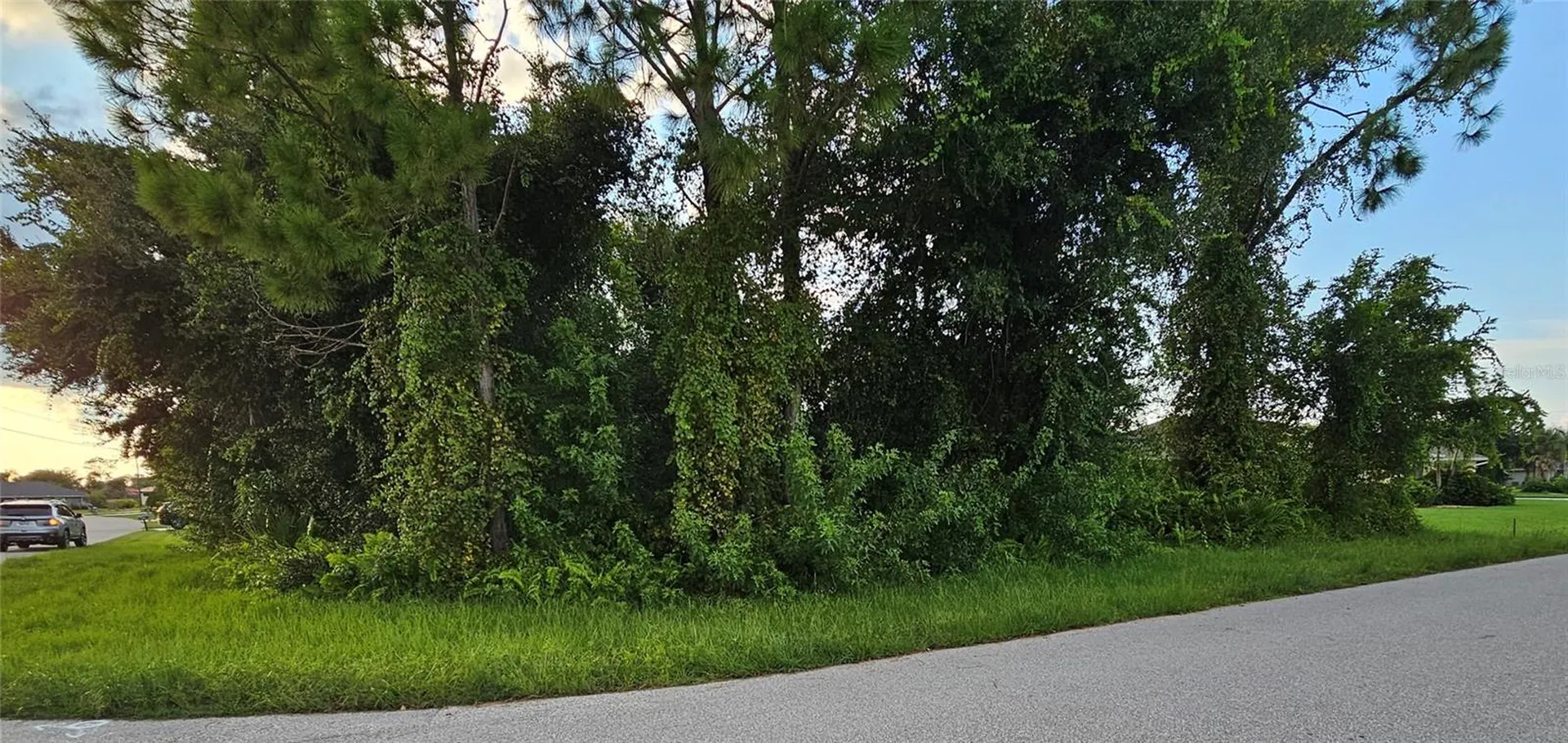 133 Valdiva Street Punta Gorda FL 33983