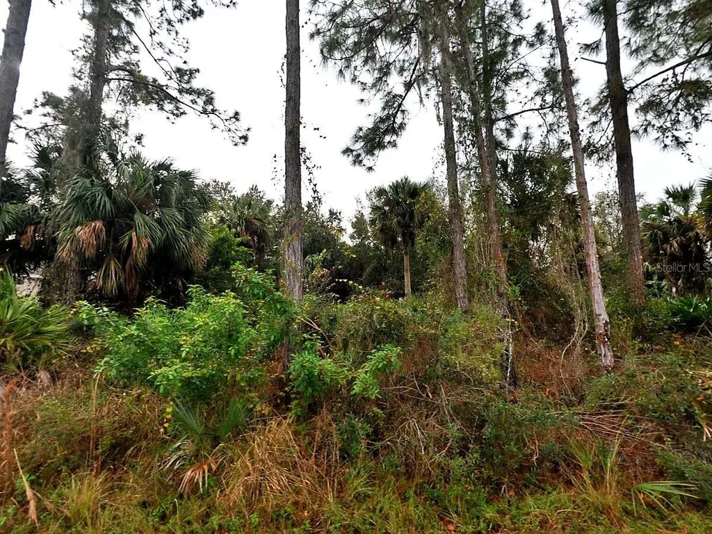 Cissus Avenue North Port FL 34288