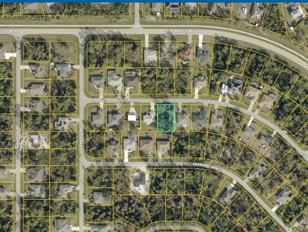Cissus Avenue North Port FL 34288