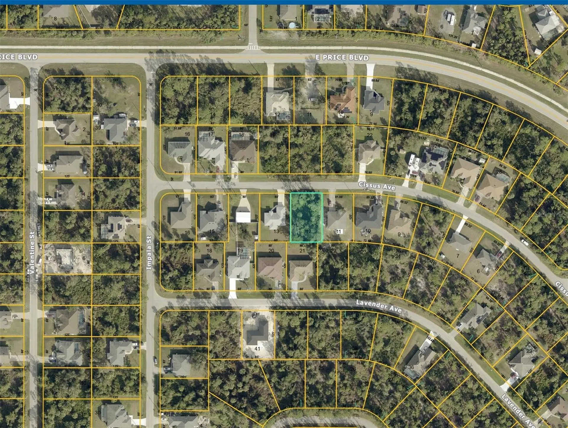 Cissus Avenue North Port FL 34288