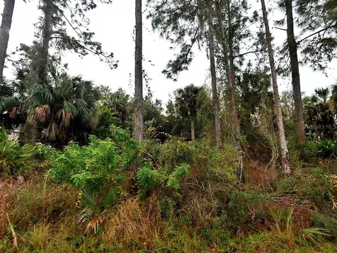 Cissus Avenue North Port FL 34288