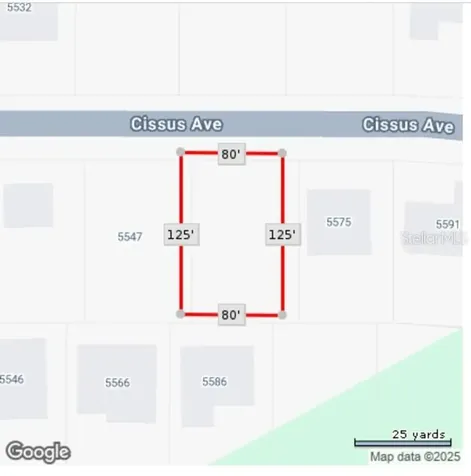 Cissus Avenue North Port FL 34288