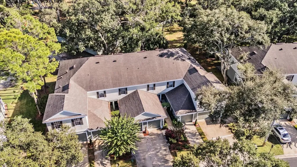 2445 Earlswood Court Brandon FL 33510