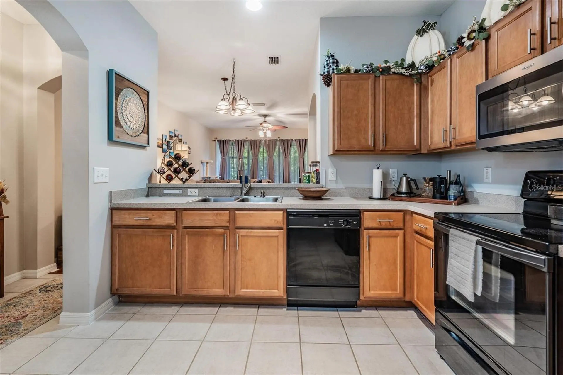 2445 Earlswood Court Brandon FL 33510