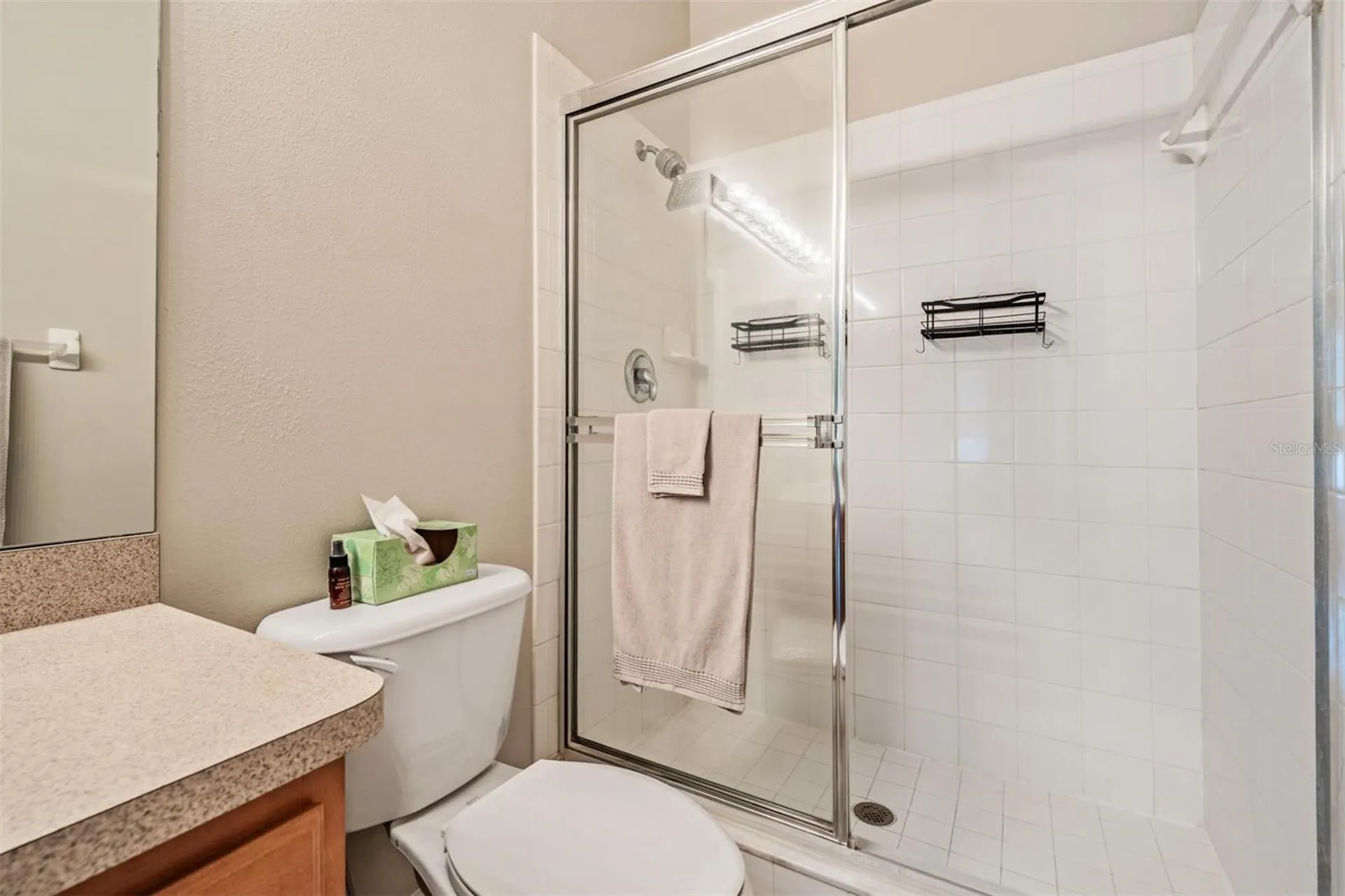 2445 Earlswood Court Brandon FL 33510