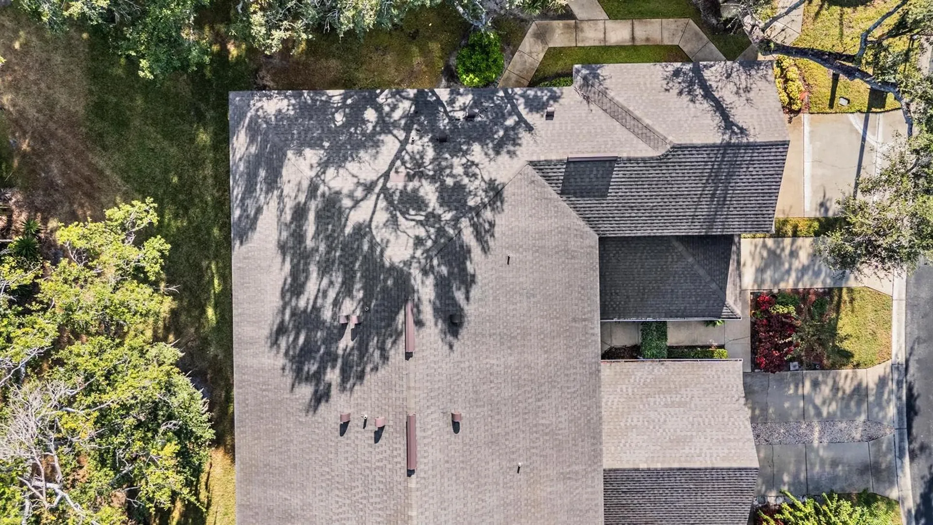 2445 Earlswood Court Brandon FL 33510
